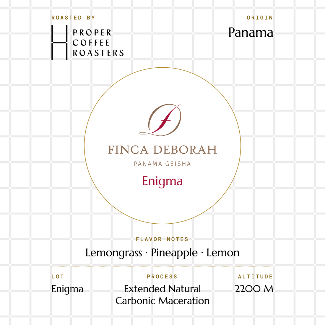 Finca Deborah - Enigma