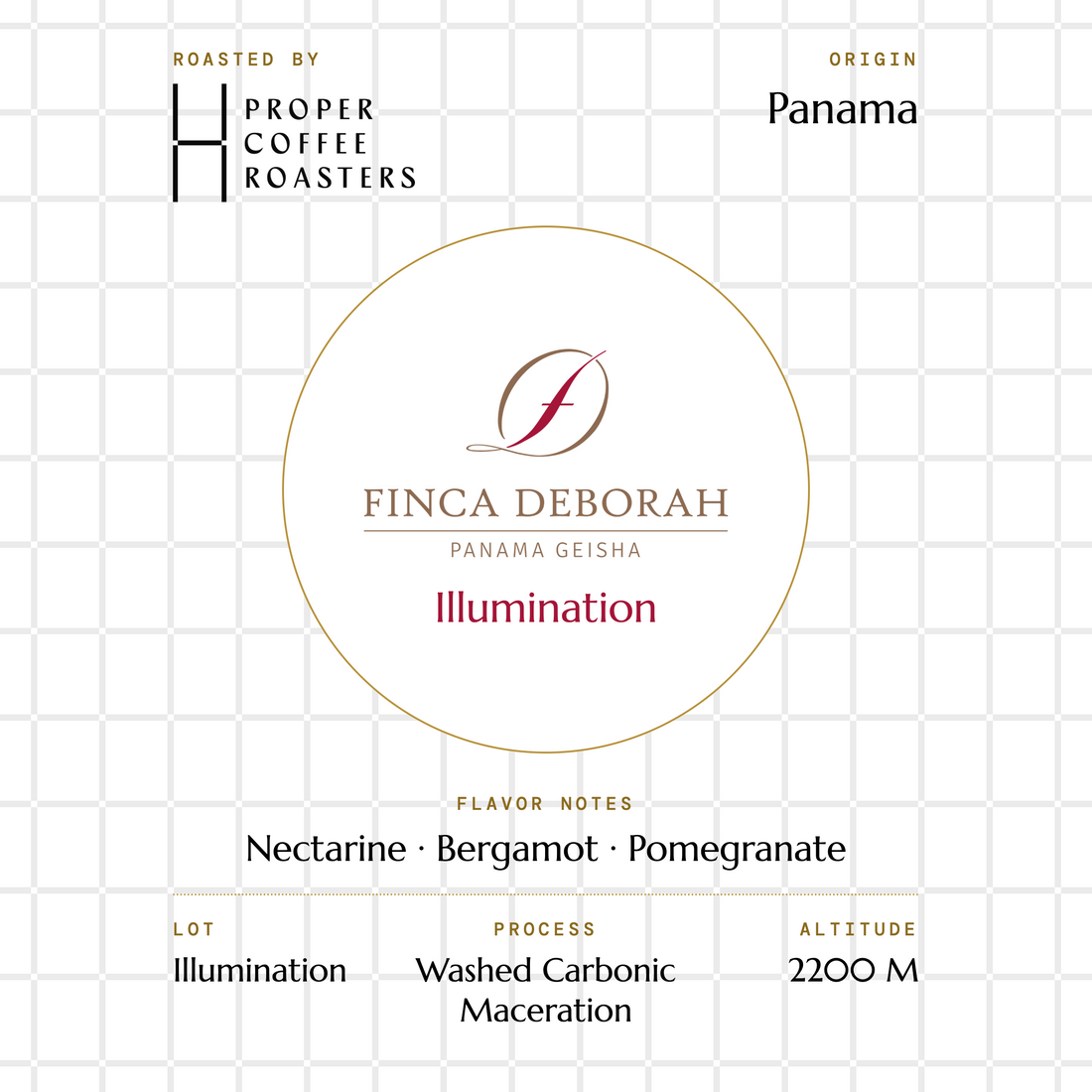 Finca Deborah - Illumination