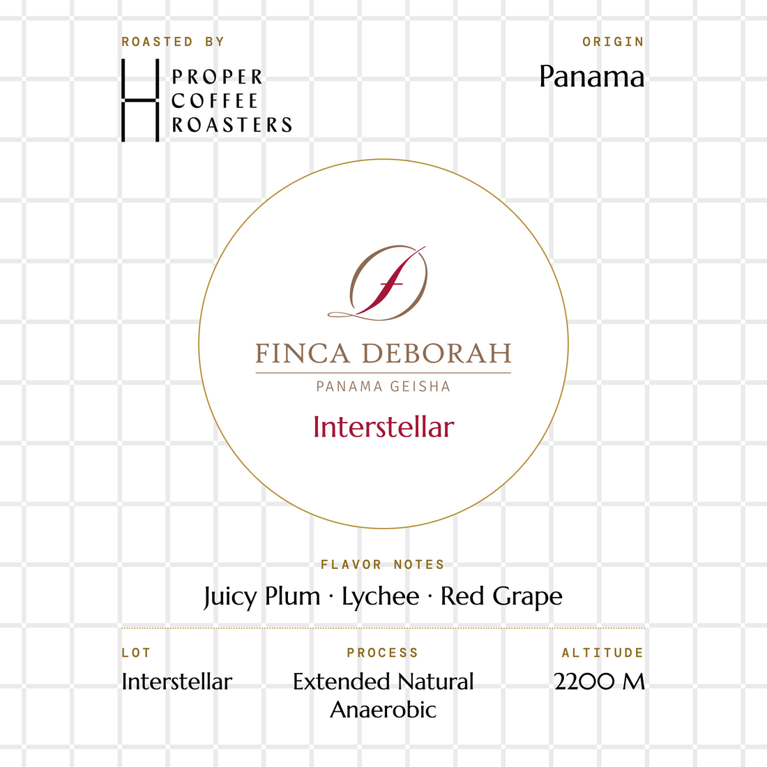 Finca Deborah - Interstellar