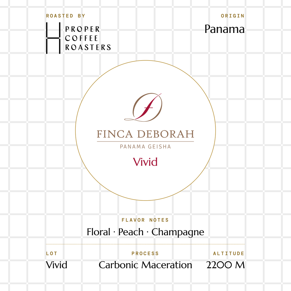 Finca Deborah - Vivid