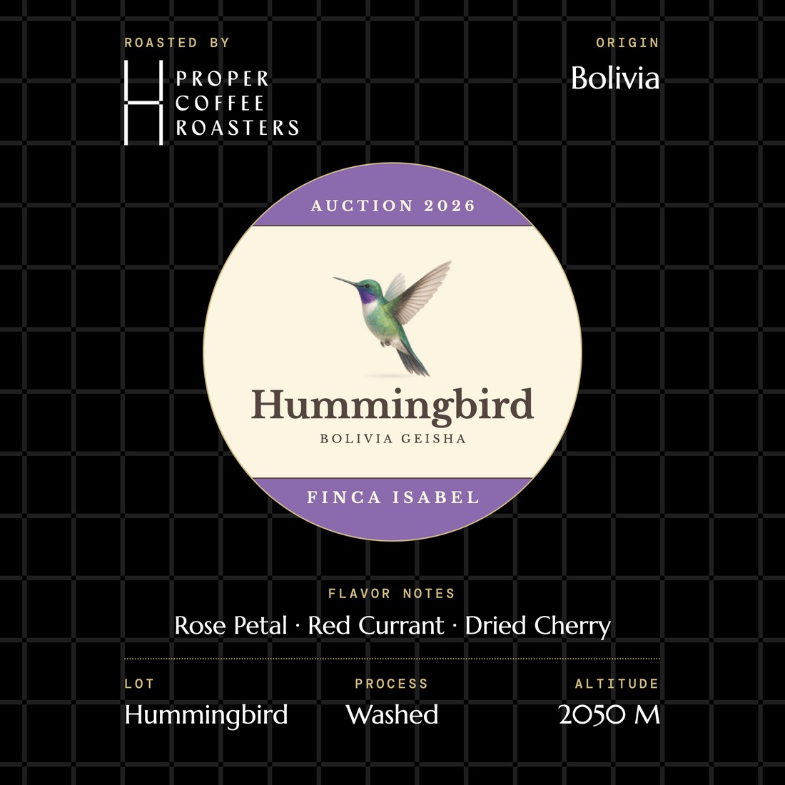 Finca Isabel - Hummingbird