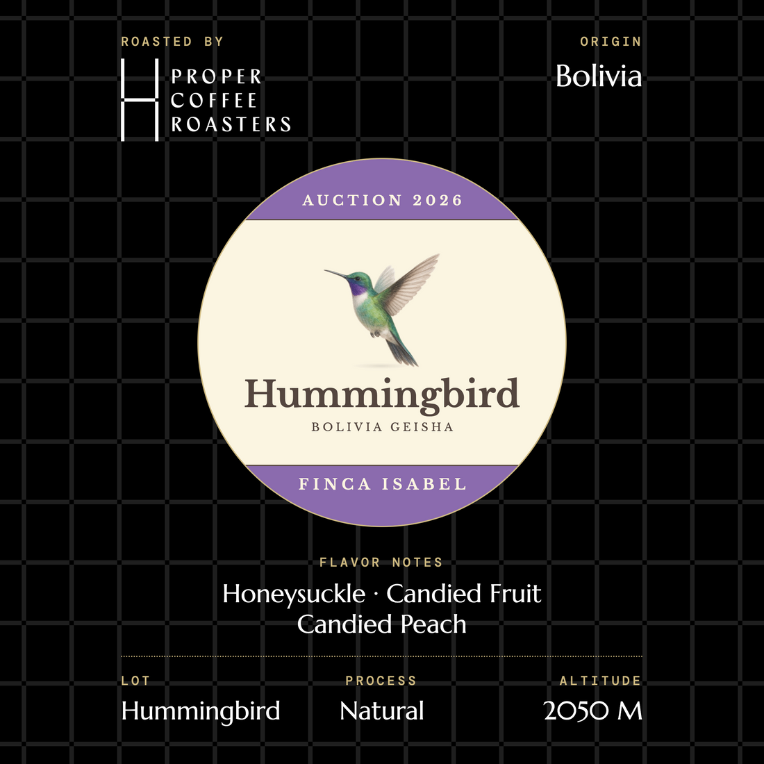 Finca Isabel - Hummingbird