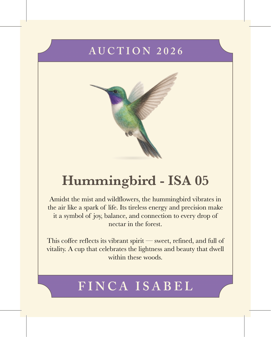 Finca Isabel - Hummingbird