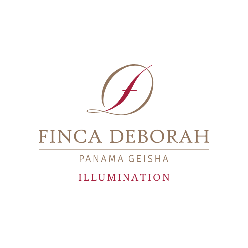 Finca Deborah - Illumination