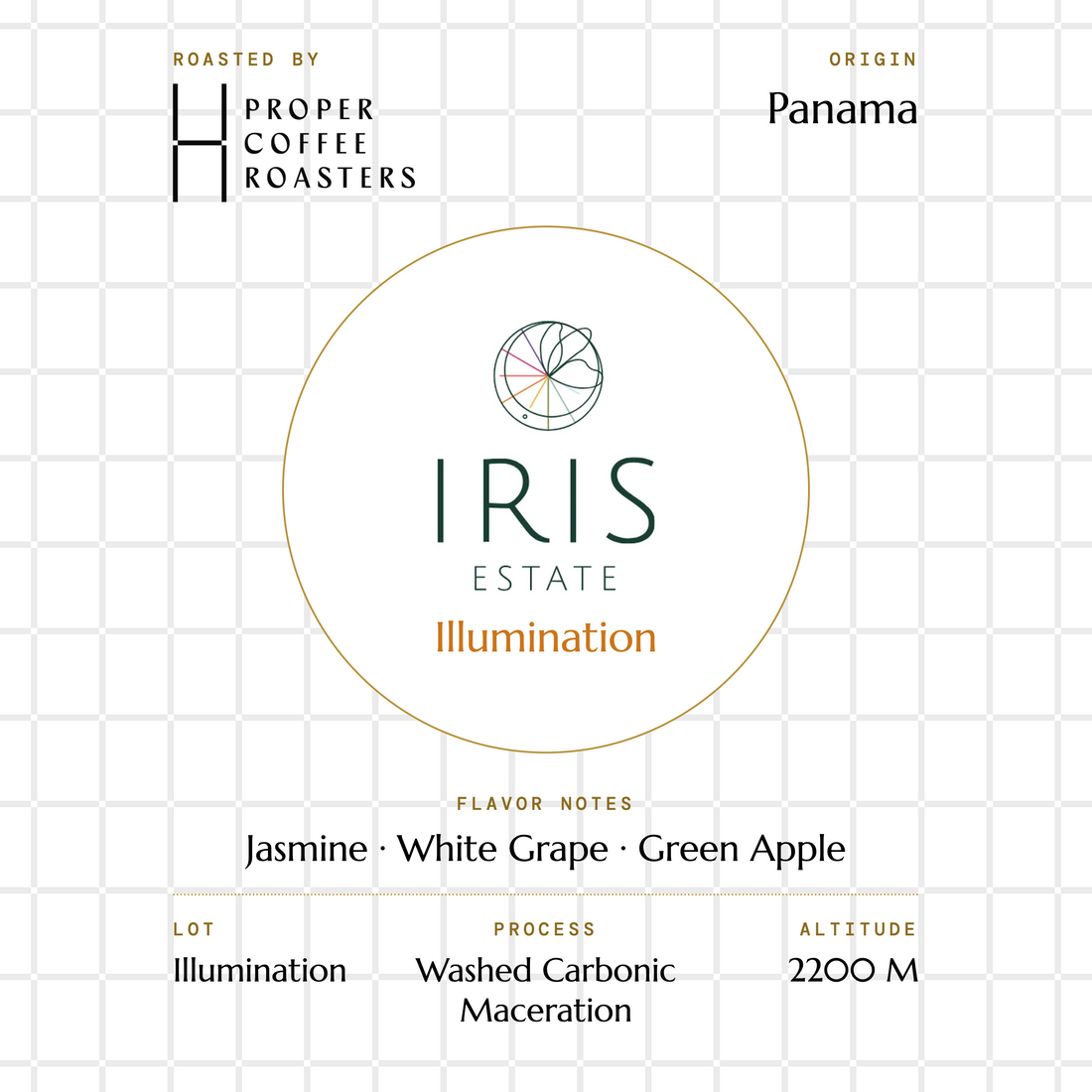 Iris Estate - ILLUMINATION