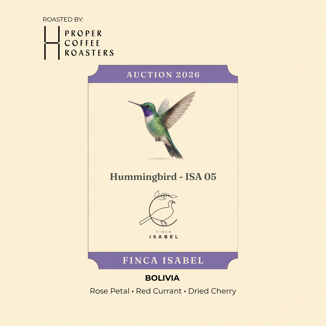 Finca Isabel - Hummingbird